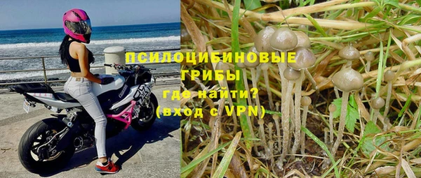 герыч Дмитровск
