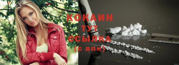молекула духа Сатка