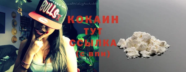 молекула духа Сатка