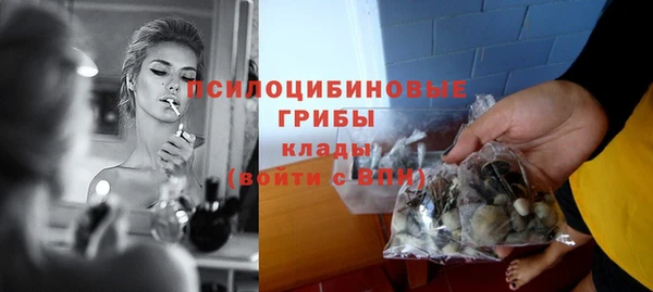 молекула духа Сатка