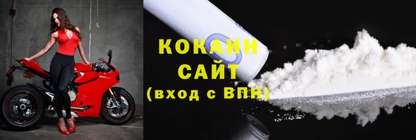 ешки Горняк