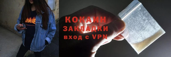 СК Сафоново