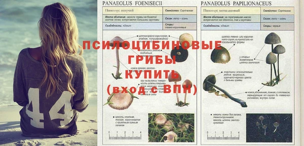 кокаин VHQ Саяногорск