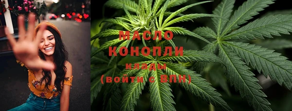 2c-b Дмитриев