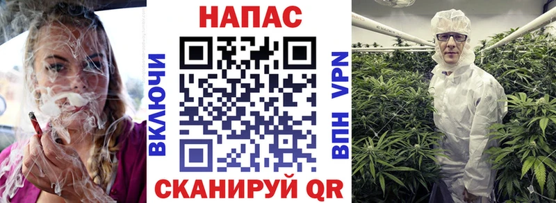 Марихуана сатива  Валуйки 